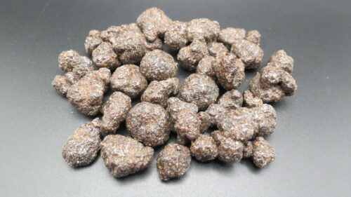 Forest Temple Close 01 Forest Temple Close 01